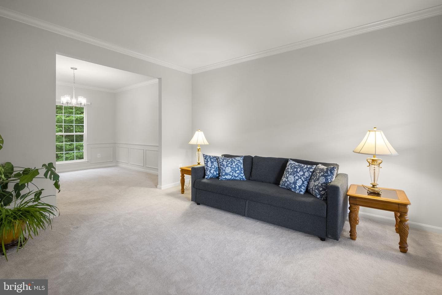 4012 Cotton Tree Lane photo 5