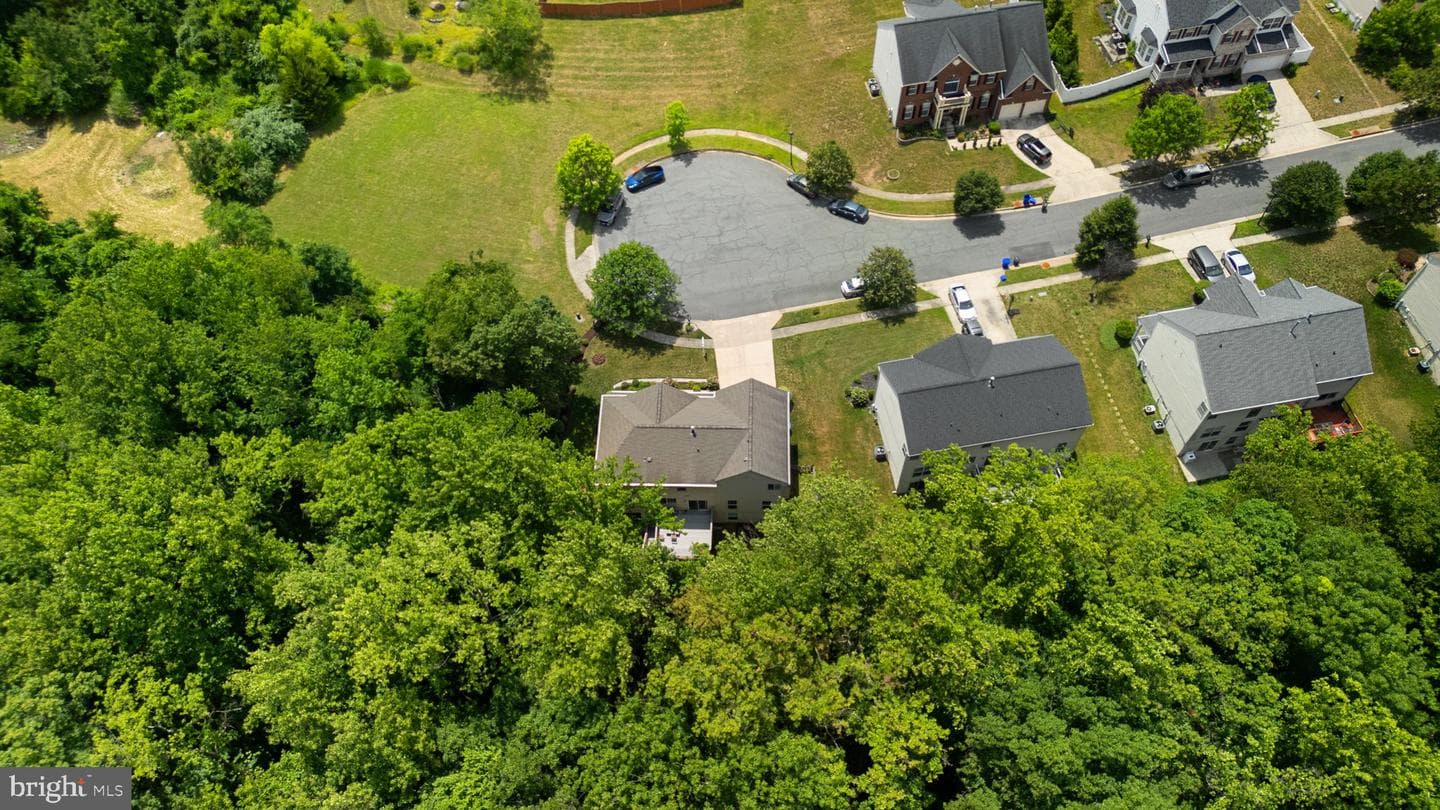 4012 Cotton Tree Lane photo 50
