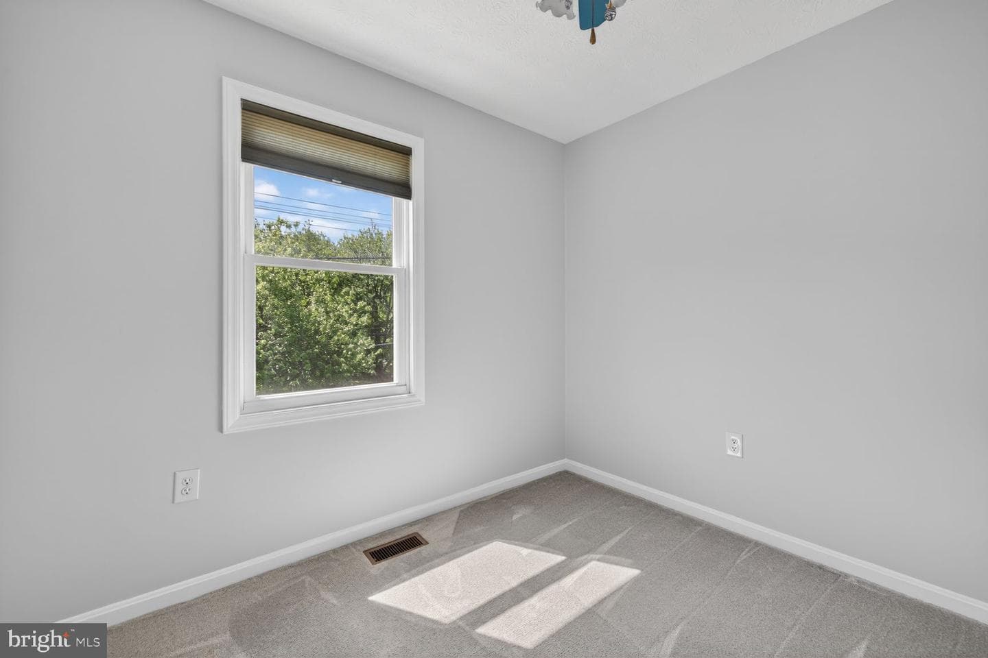 805 Bayridge Drive photo 11