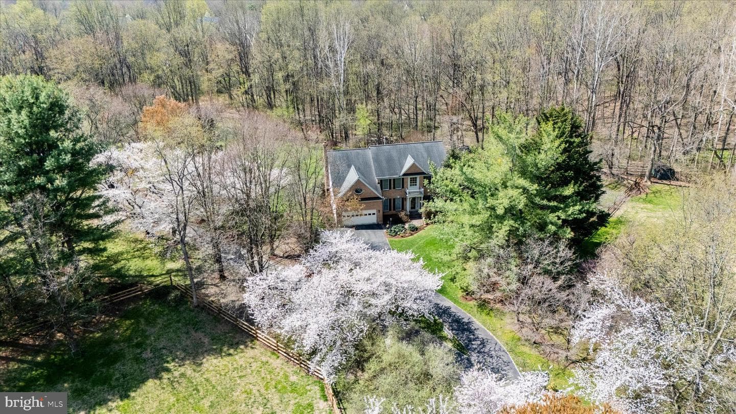 19808 Falling Spring Court photo 44