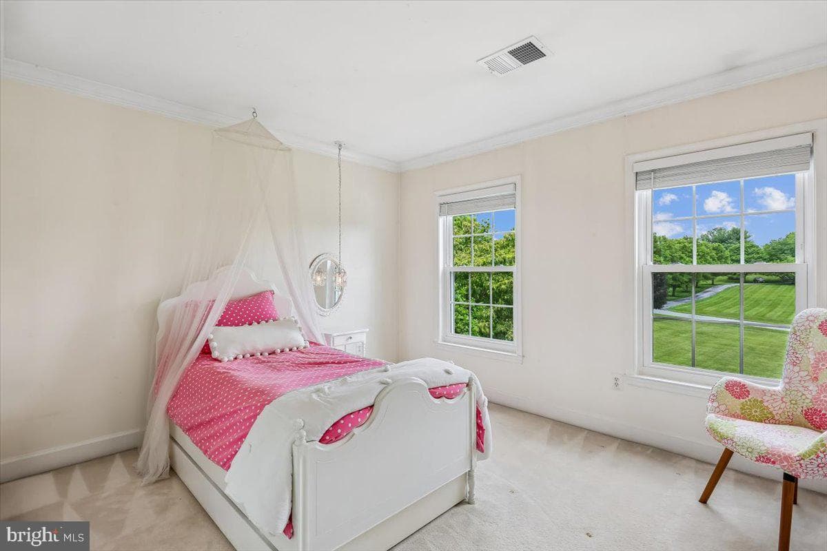 9216 English Meadow Way photo 54