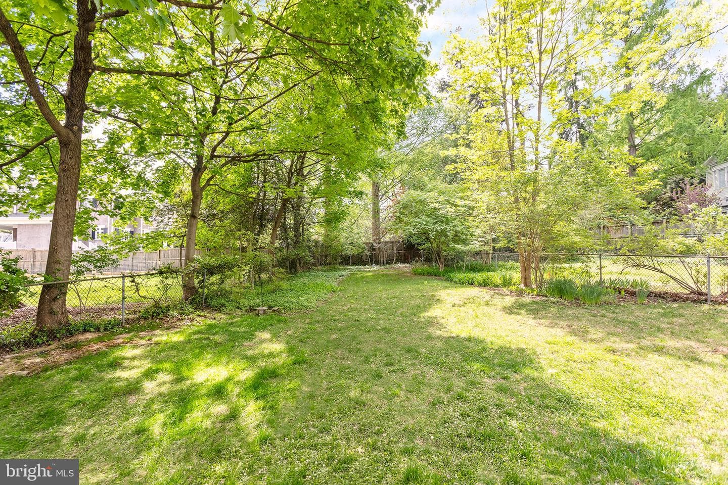 3706 Spring Street photo 59