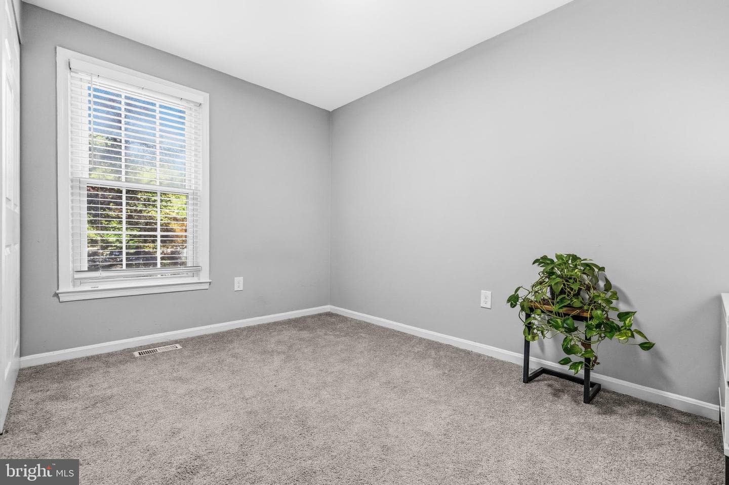17624 Lindstrom Court photo 11