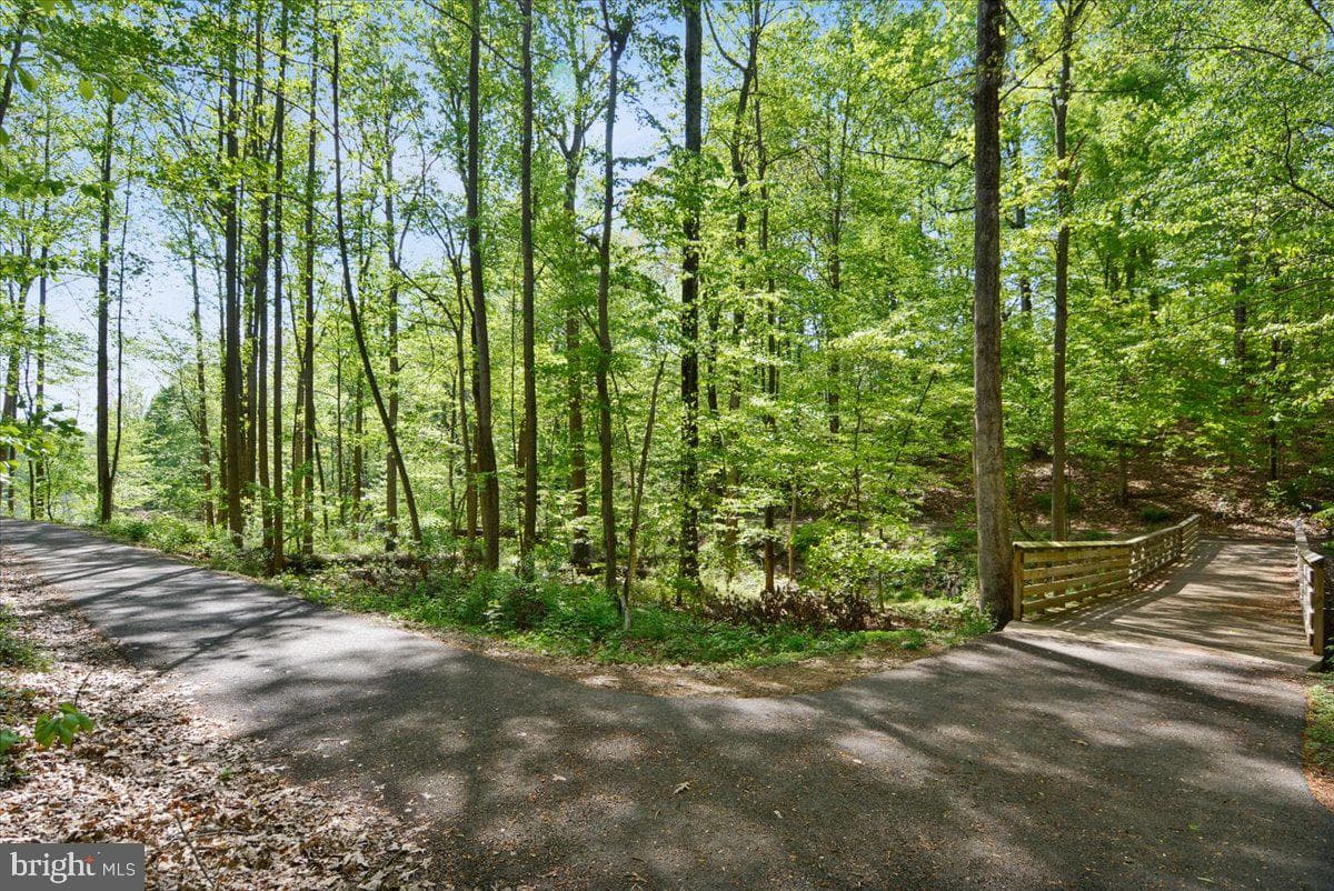 11423 Fruitwood Way #143 photo 71