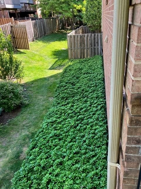 10109 Langhorne Court photo 4