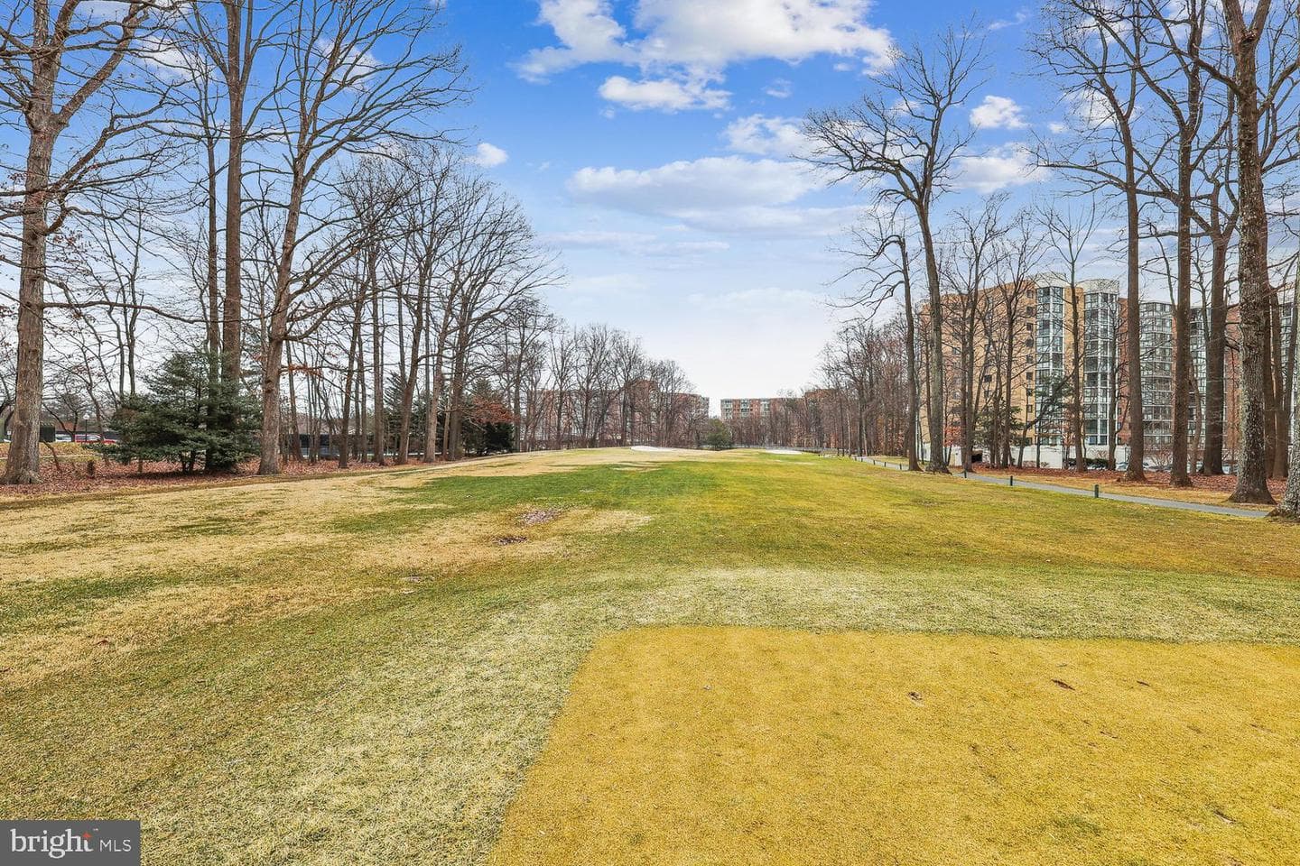 15100 Interlachen Drive #4-702 photo 46