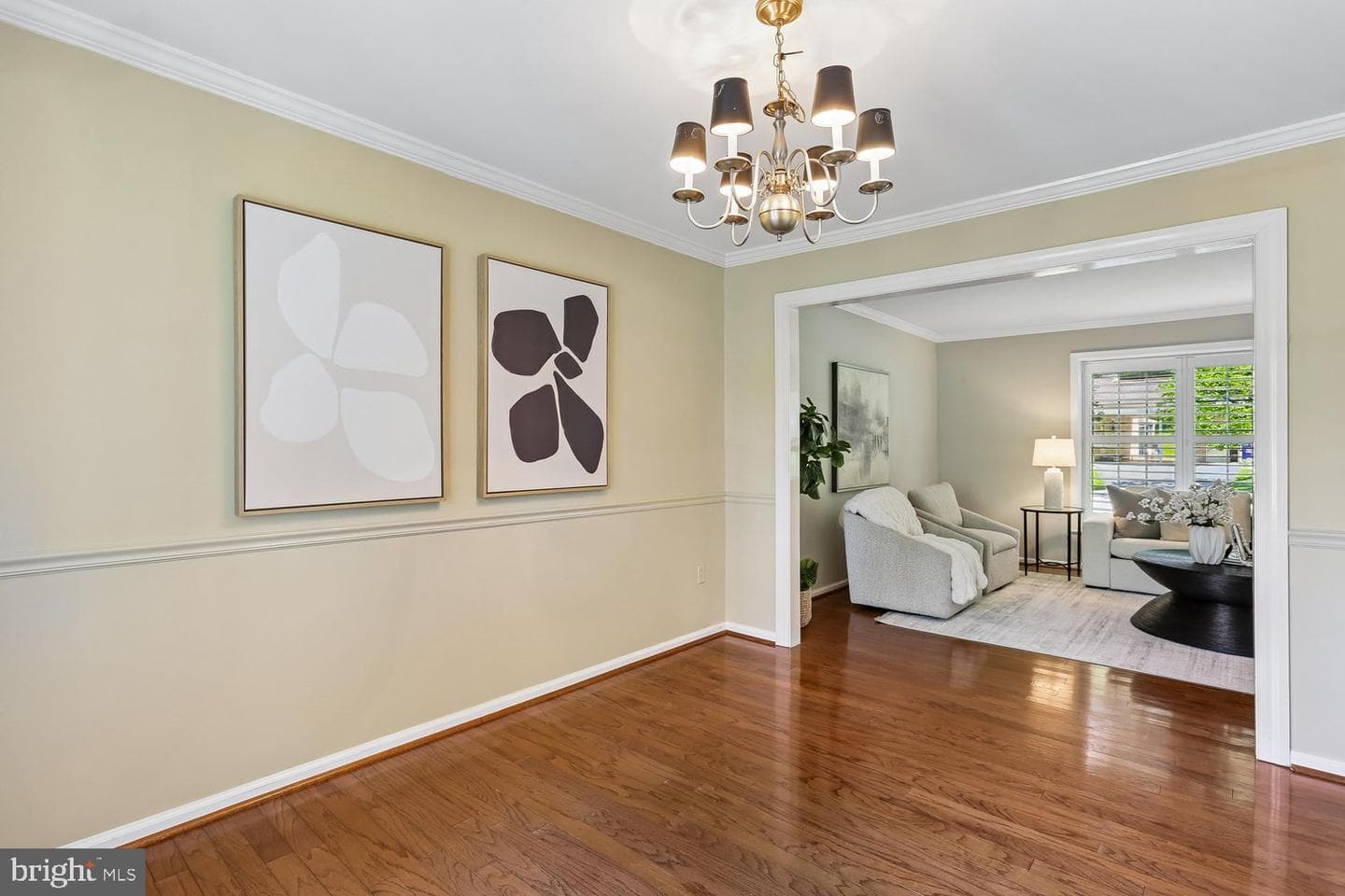 10909 Citreon Court photo 10