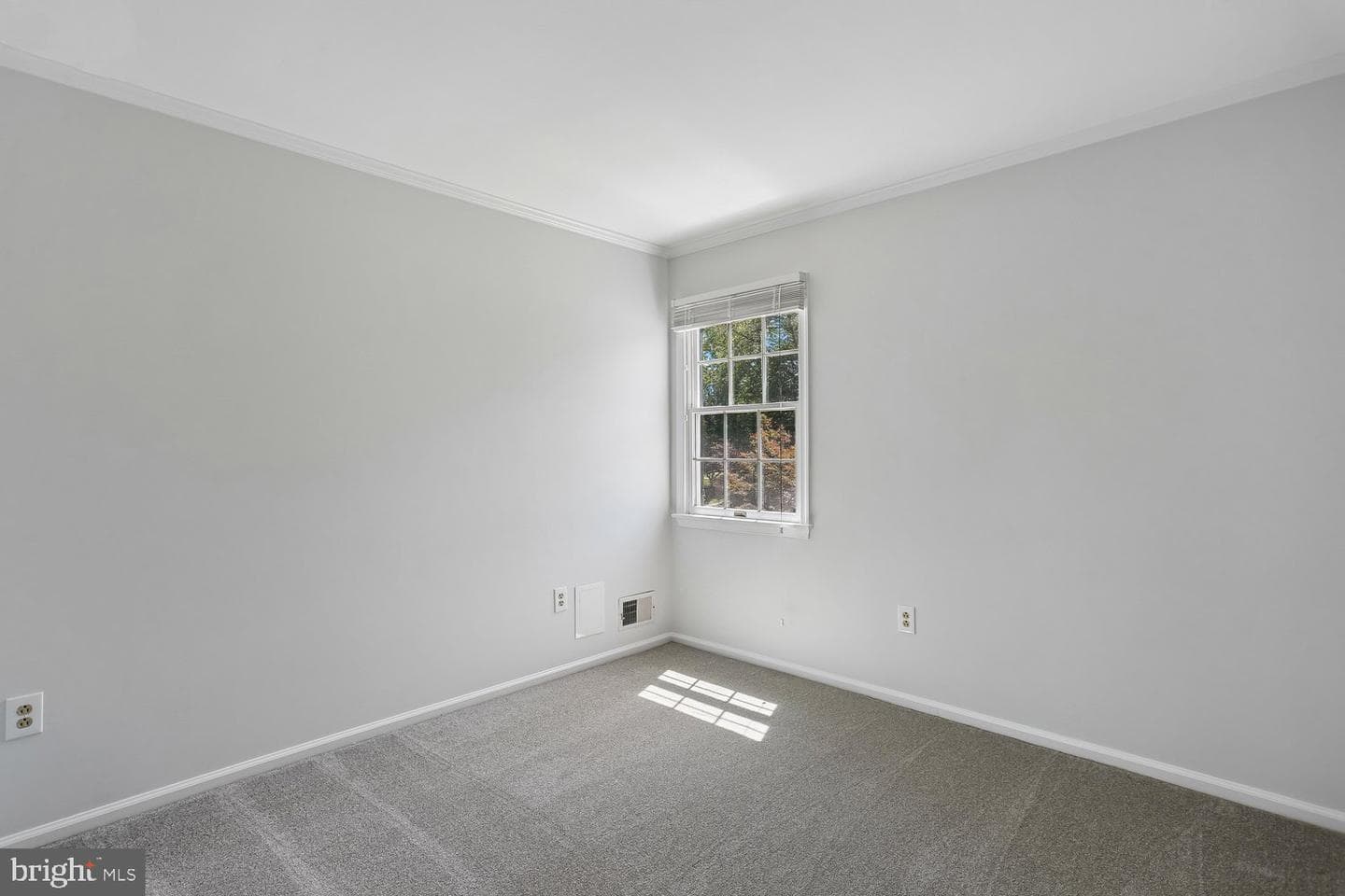 10909 Citreon Court photo 34