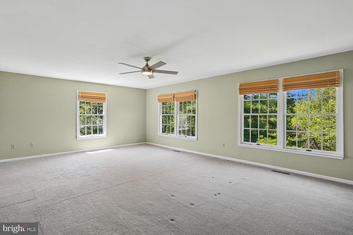 10909 Citreon Court photo 42