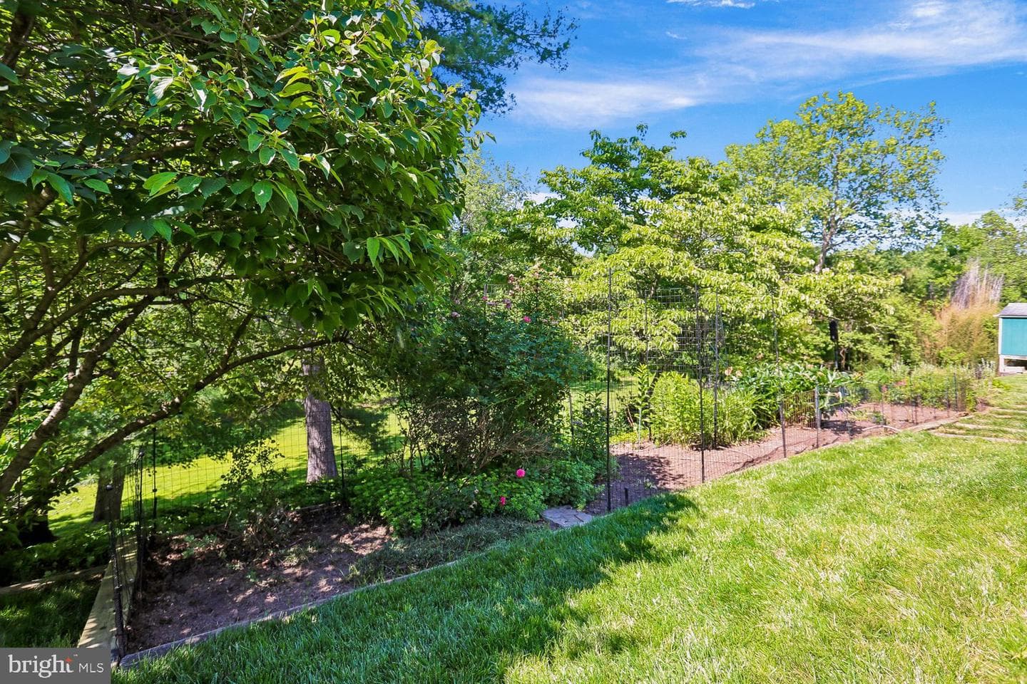 10909 Citreon Court photo 60