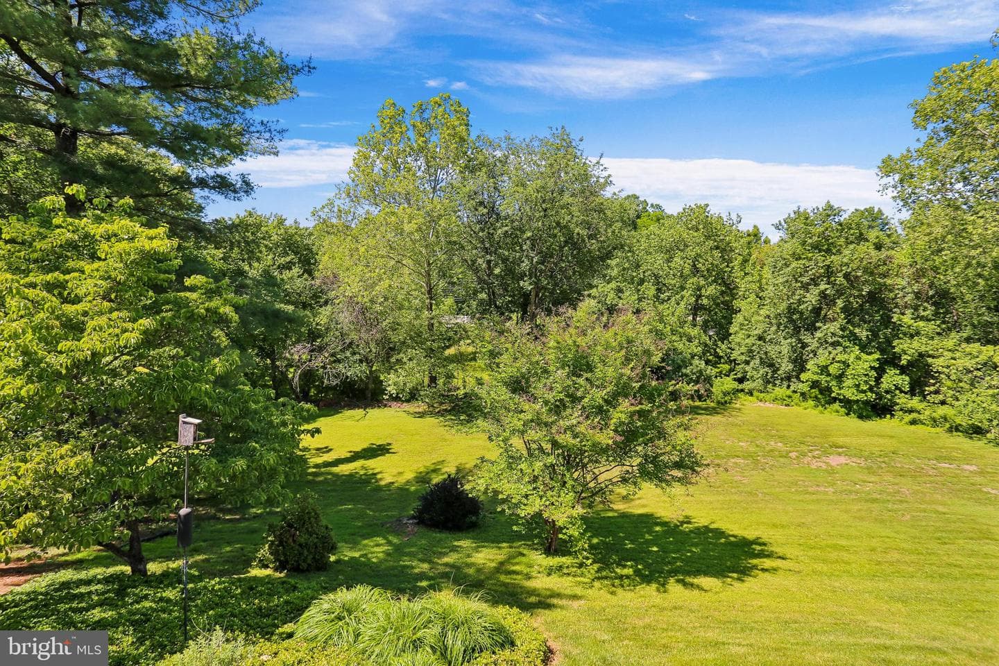 10909 Citreon Court photo 63