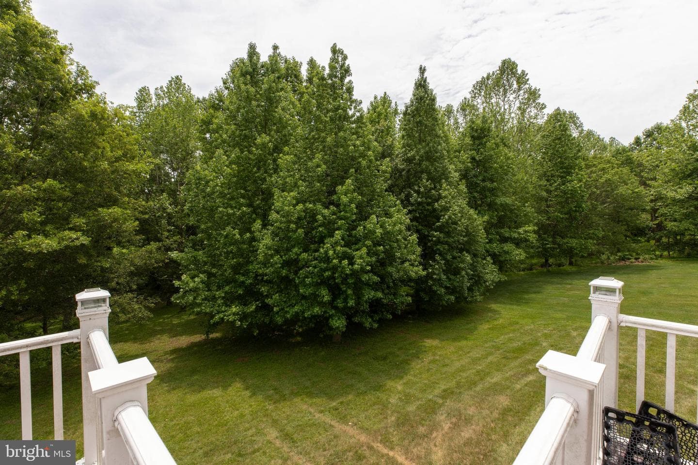 19336 Cypress Hill Way photo 79
