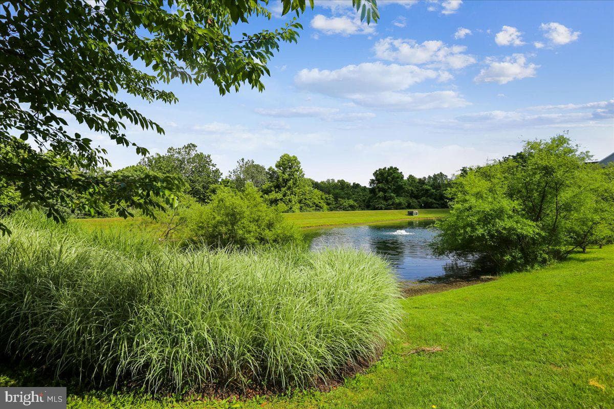 10407 Dalebrooke Lane photo 43