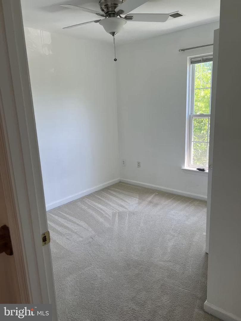 13620 Palmetto Circle photo 6