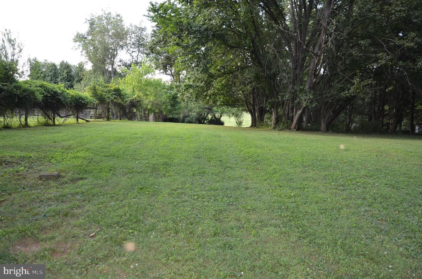 13813 Golden Fields Court photo 65
