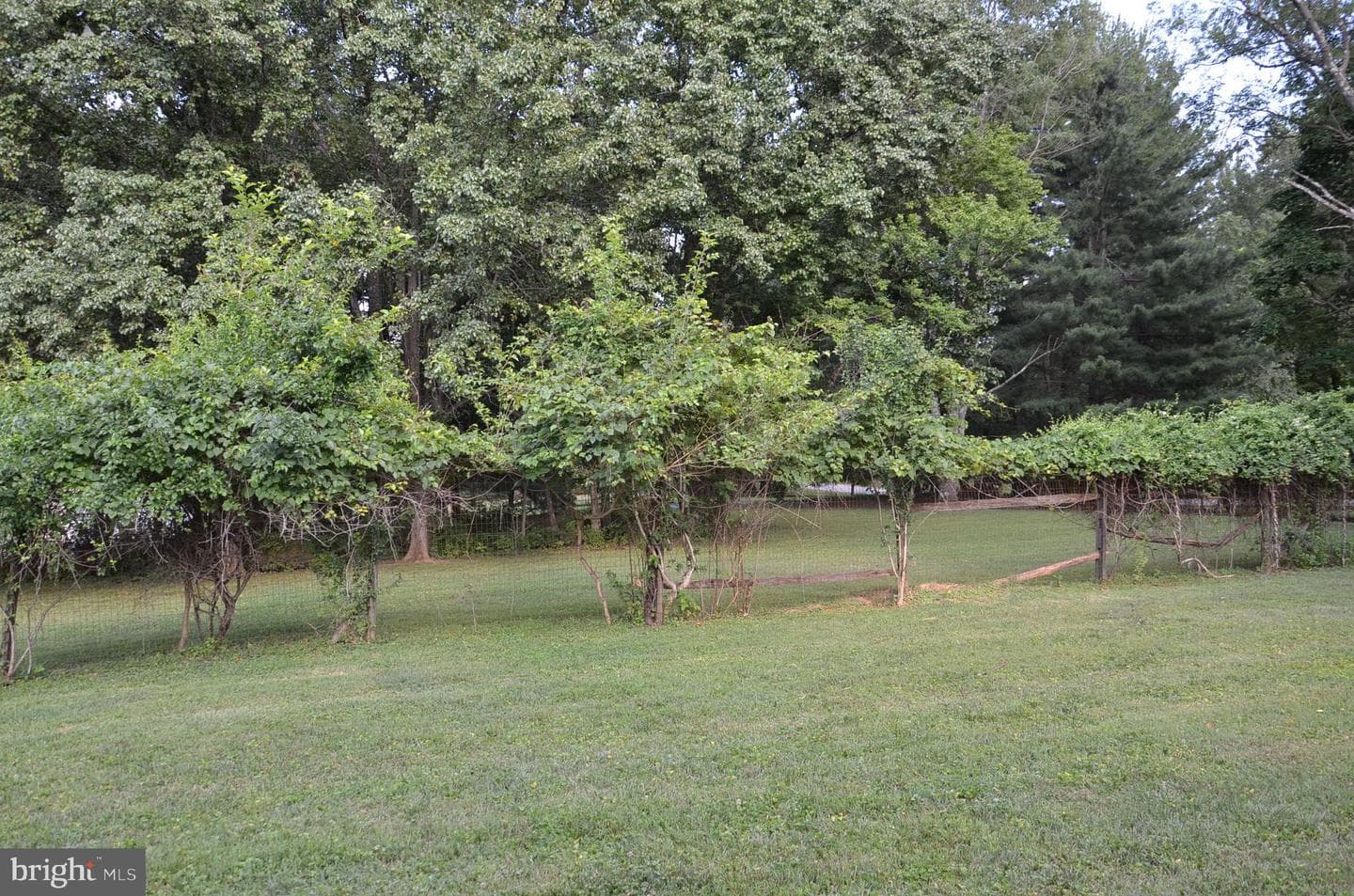 13813 Golden Fields Court photo 68