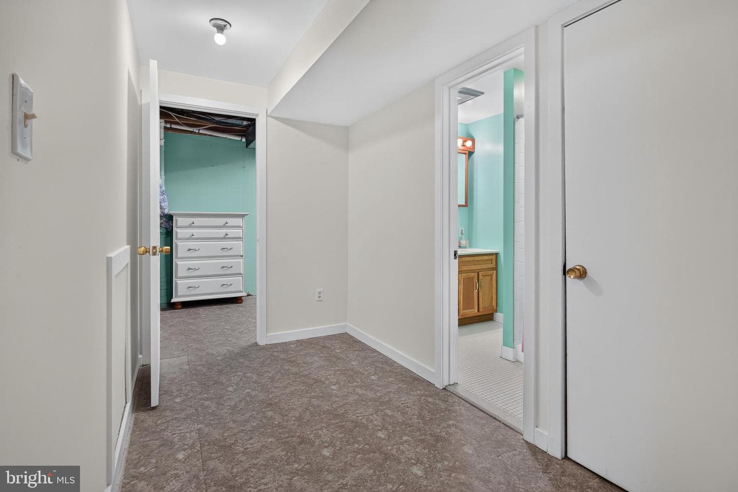 13219 Black Walnut Court photo 18