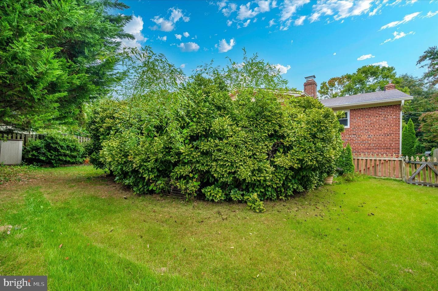 11110 Rock Road photo 93