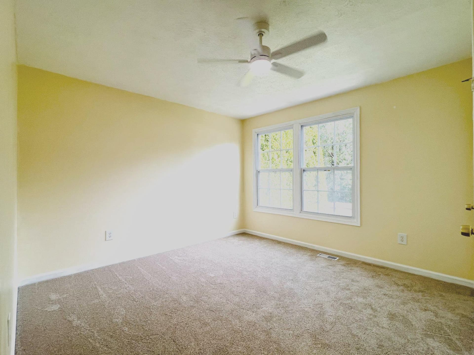11616 Doxdam Terrace photo 16