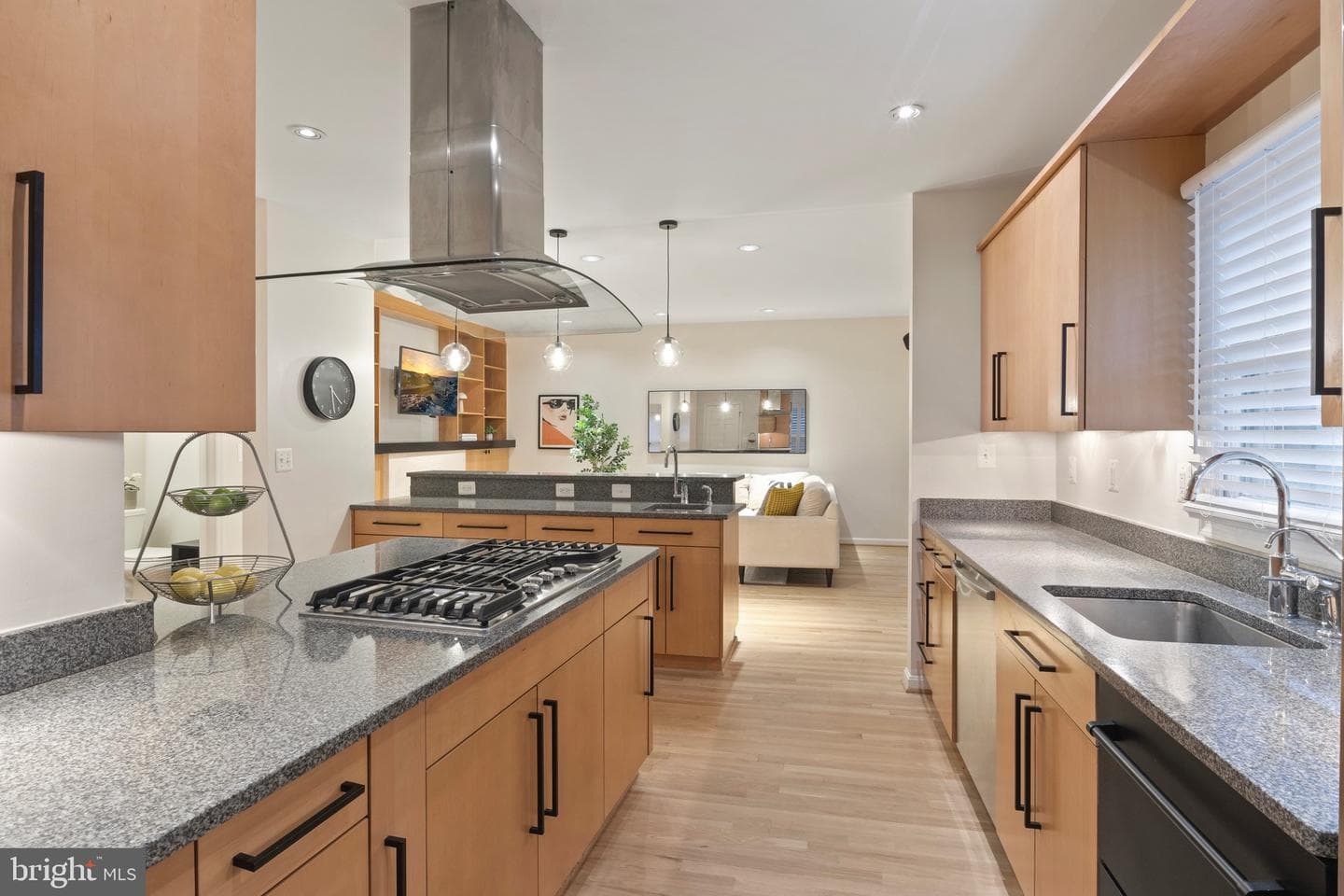 10314 Thornbush Lane photo 18