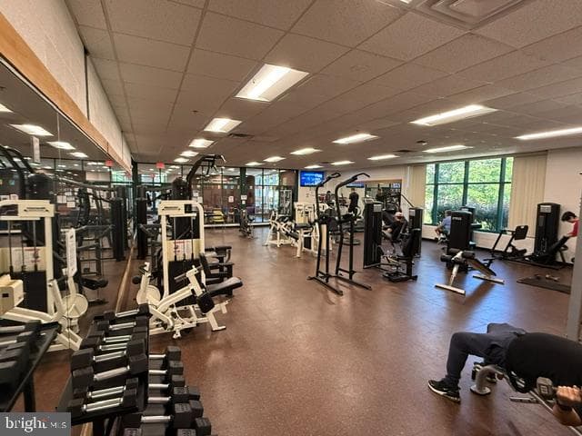 1900 Lyttonsville Road #1217 photo 21