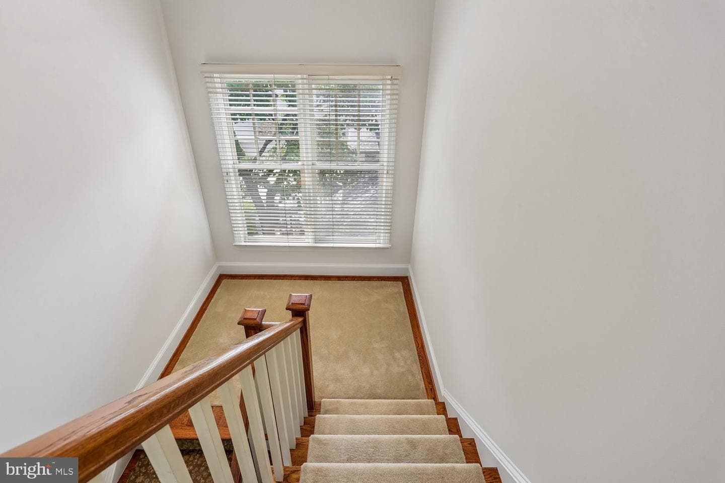 5114 Wessling Lane photo 102