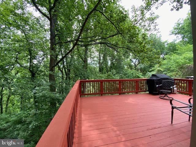 12033 Winding Creek Way photo 8