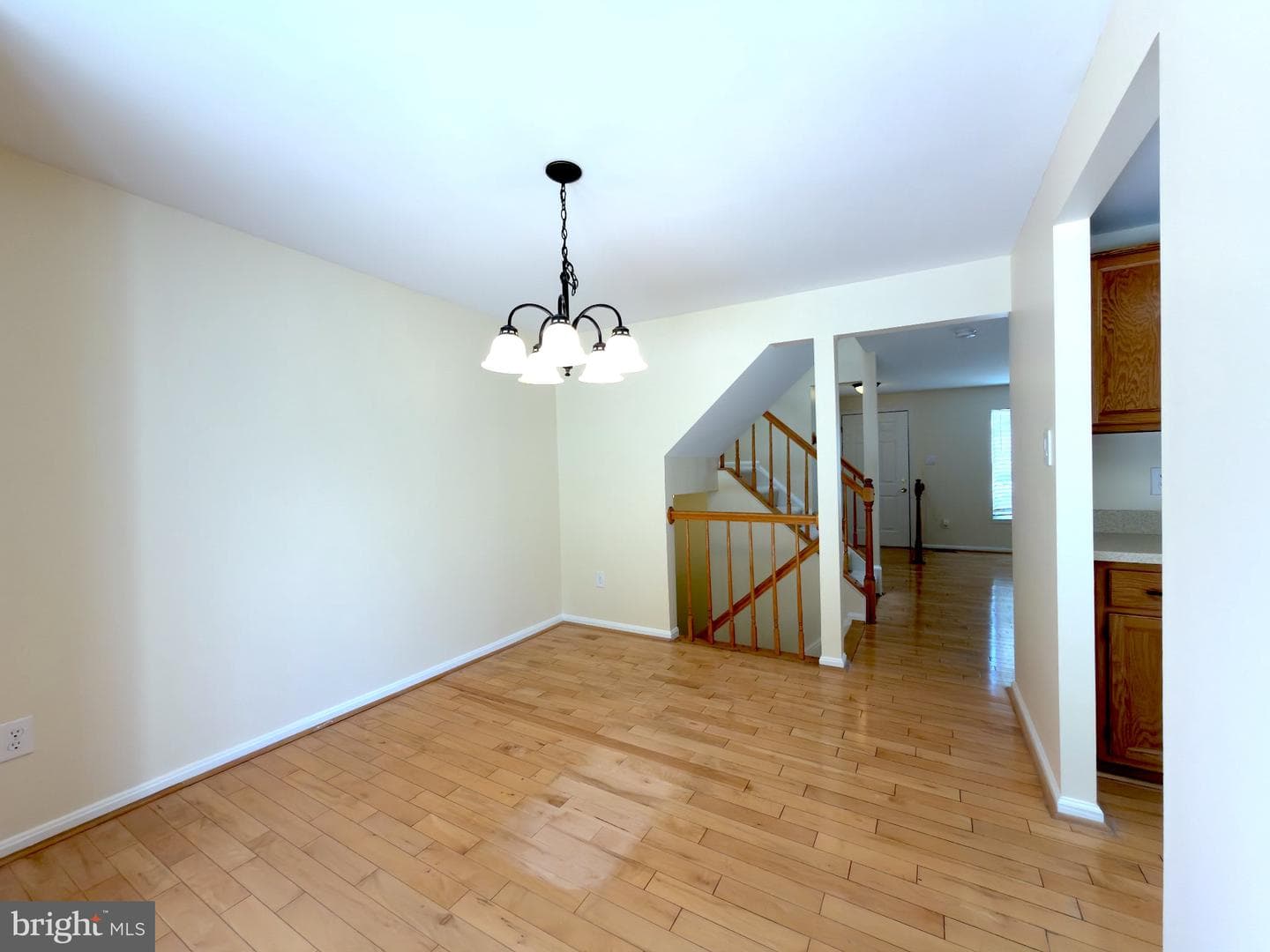 10509 Smithy Court photo 19