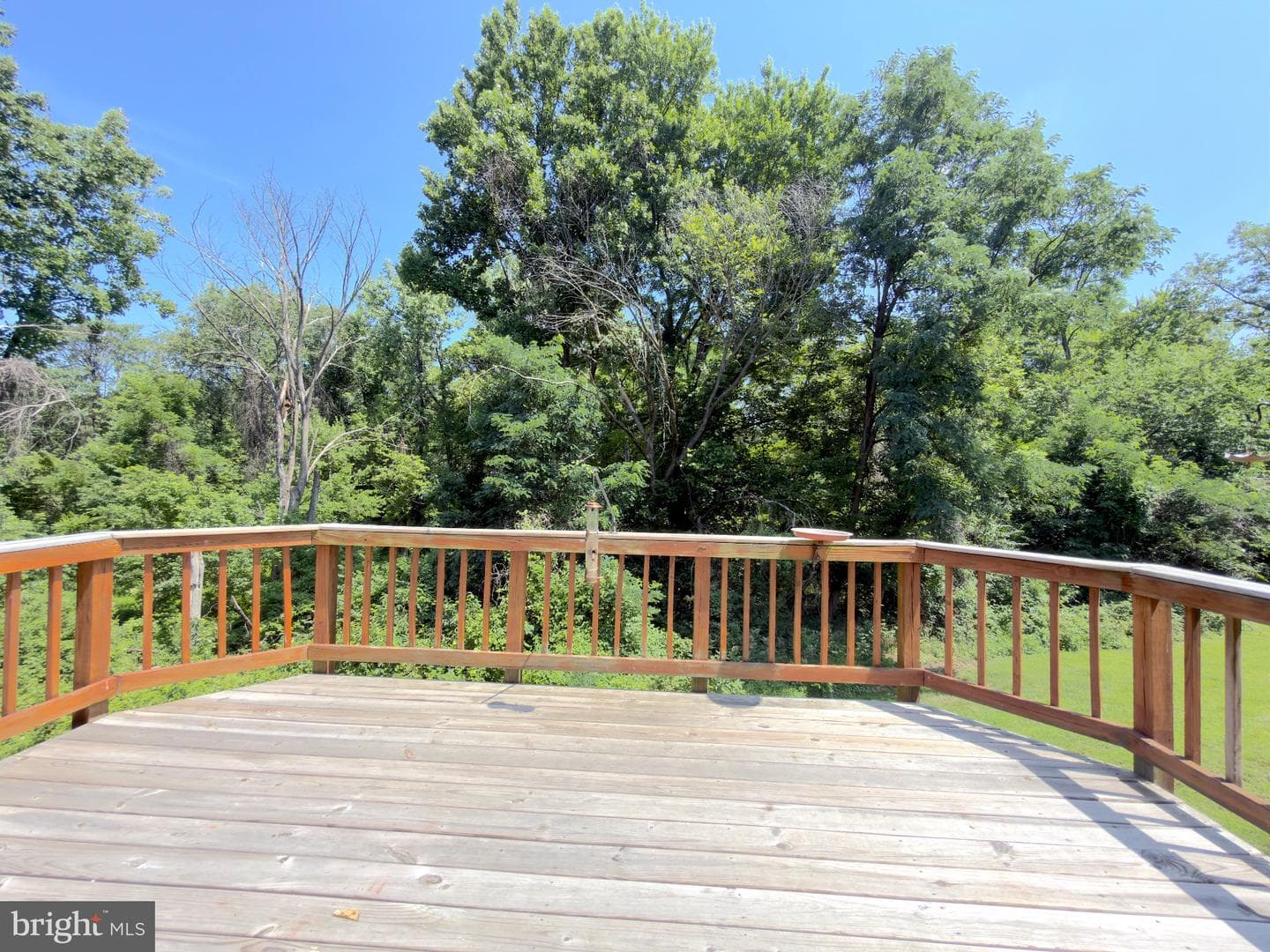 10509 Smithy Court photo 29