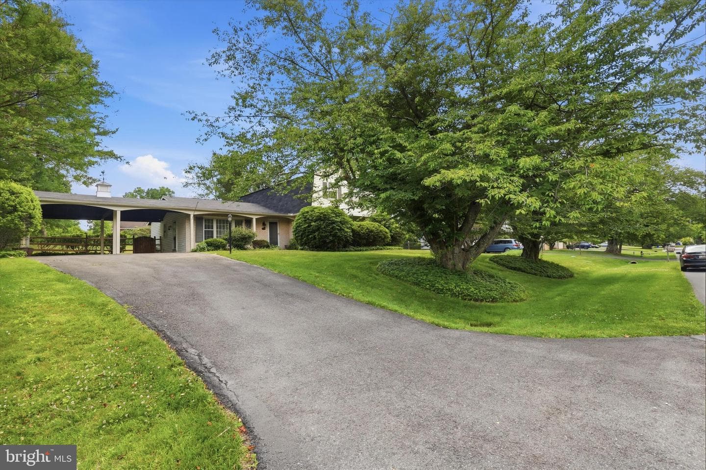 3710 Queen Mary Drive photo 2