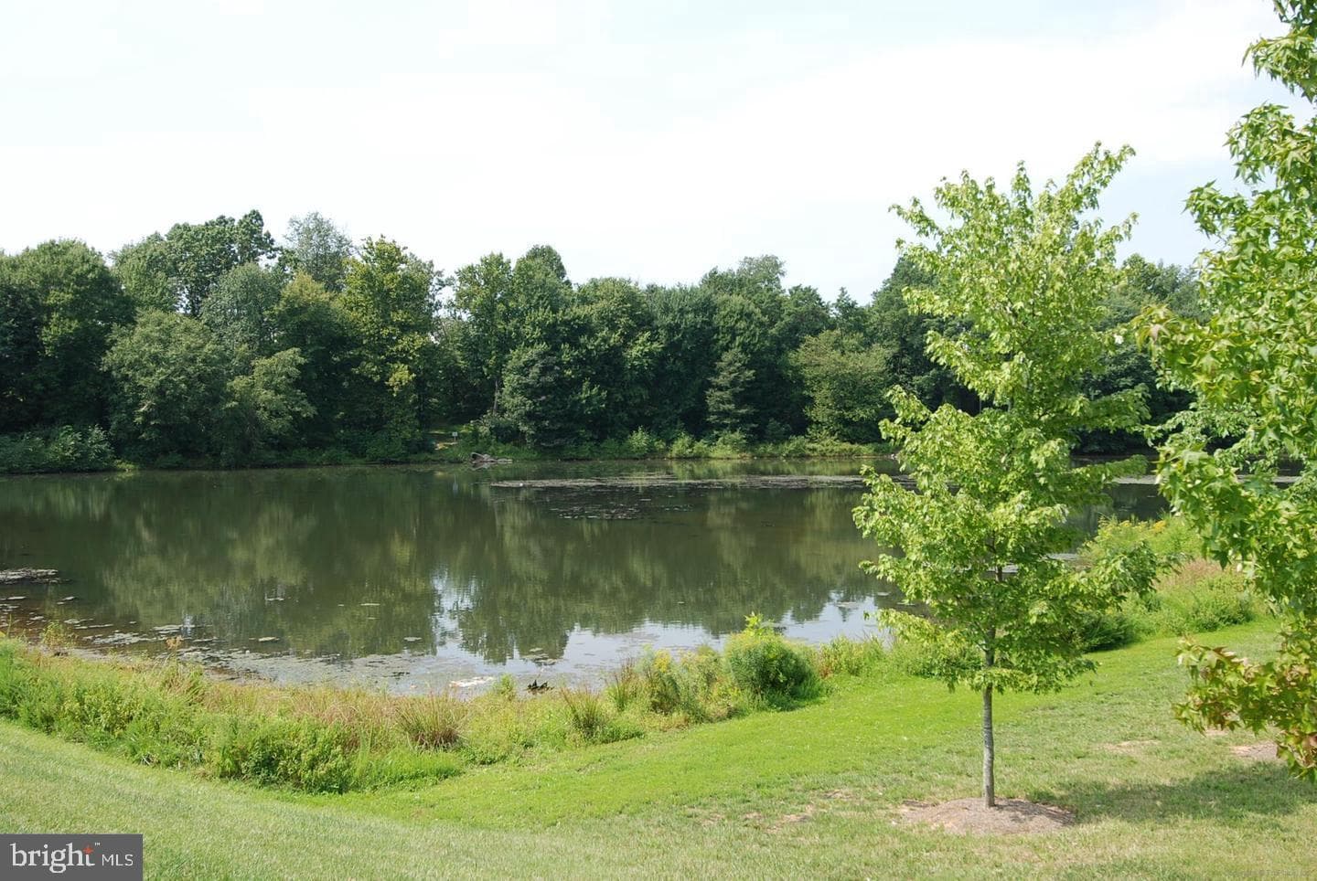 110 Clagett Crossing Place photo 66
