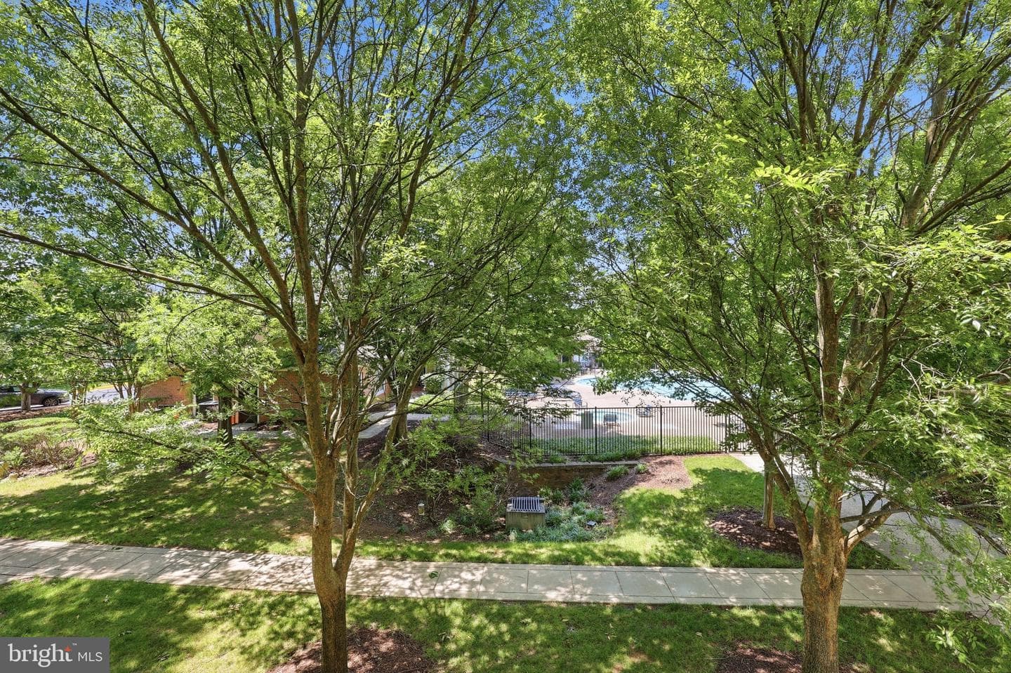19623 Galway Bay Cir # 203 photo 99