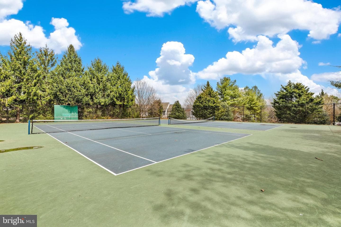 12917 Alderleaf Drive photo 40