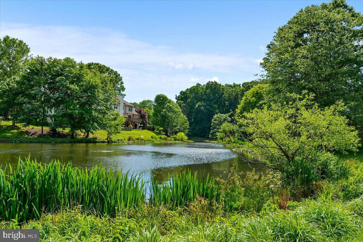 25 Tivoli Lake Court photo 68