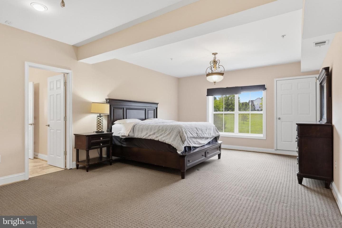 9010 Damascus Hills Lane photo 19