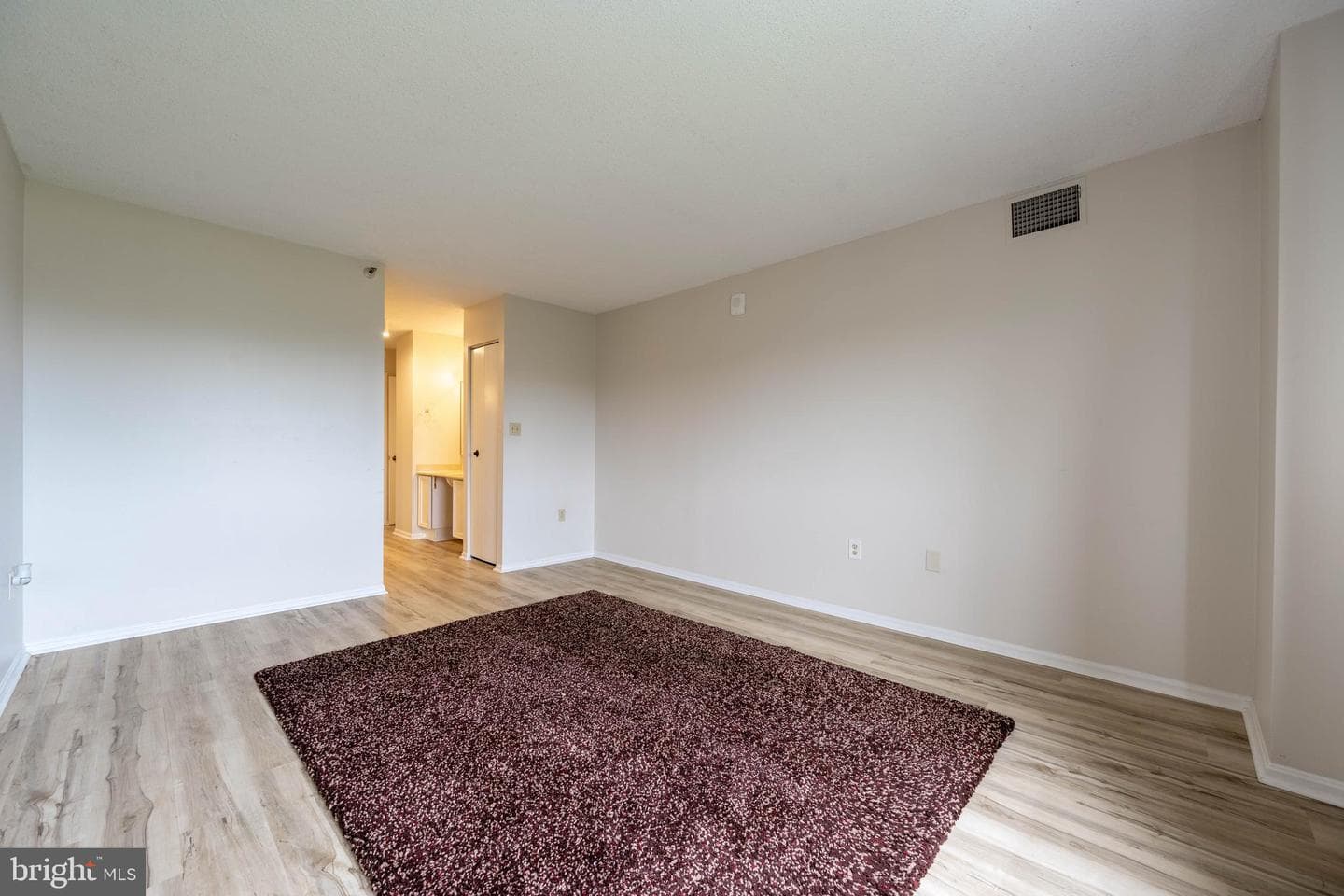 15101 Interlachen Drive #1-924 photo 18