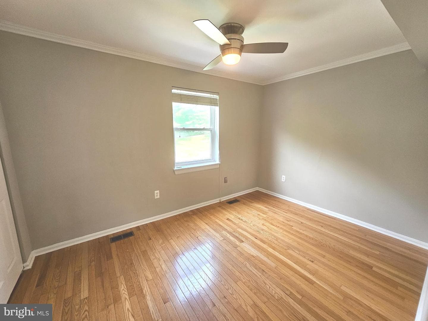 11902 Foal Lane photo 15