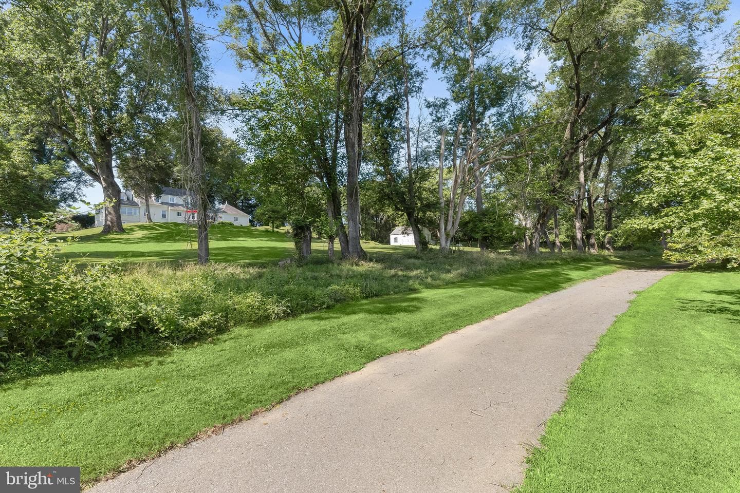 16510 Batchellors Forest Road photo 88