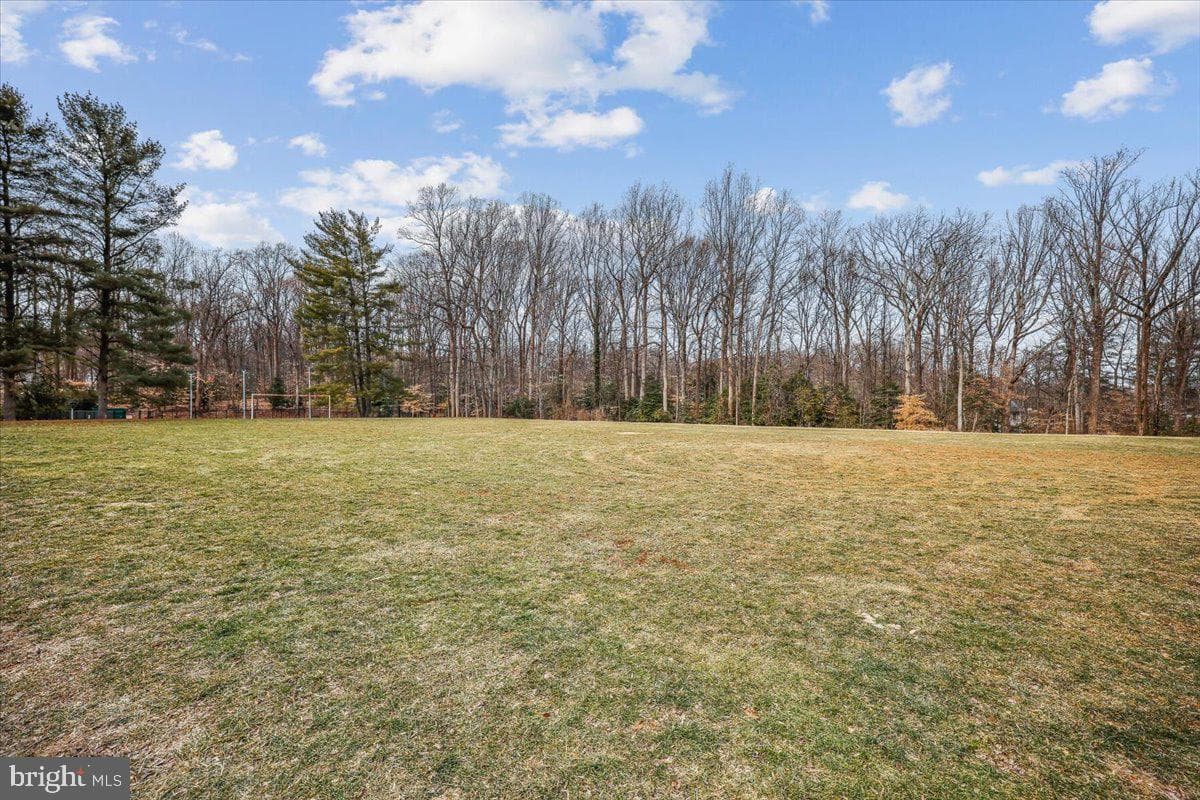 8607 Wild Olive Drive photo 44