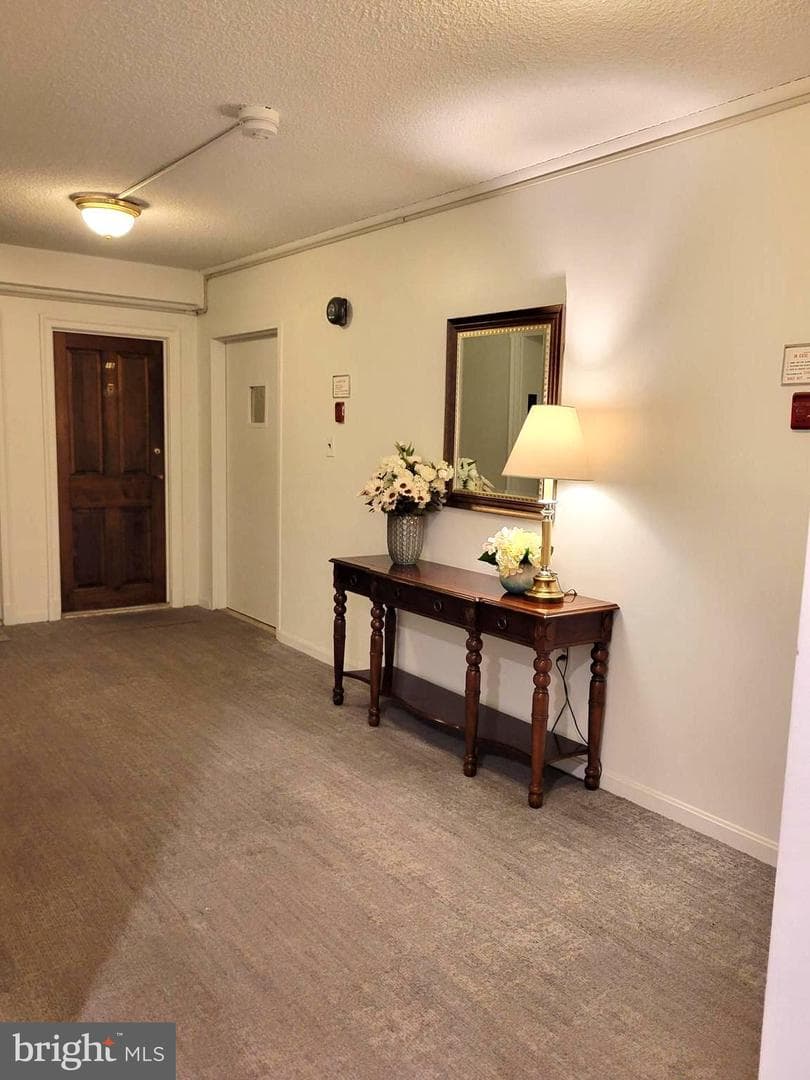 2100 Washington Avenue #5-A photo 4