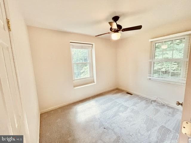 1016 Windrush Lane photo 21
