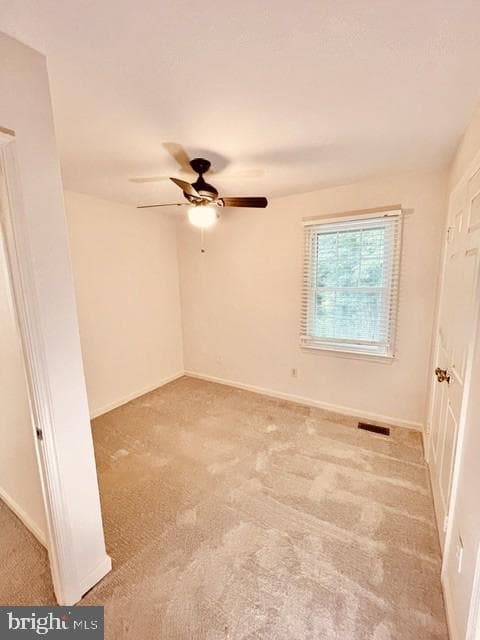 1016 Windrush Lane photo 23