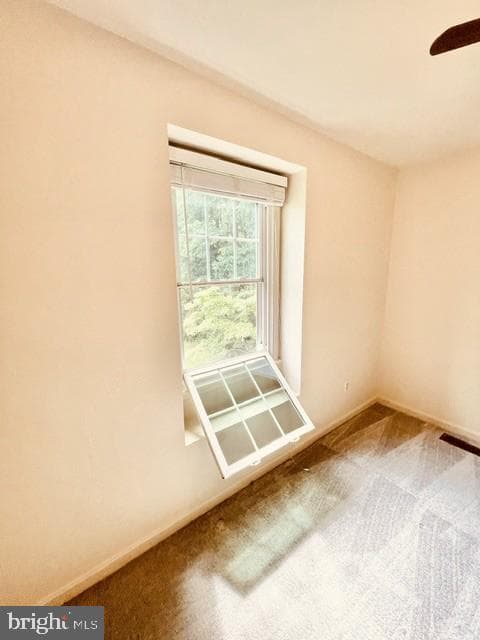 1016 Windrush Lane photo 47