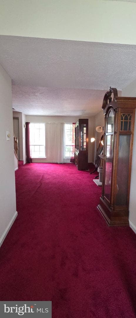 506 Pickwick Village Way photo 14