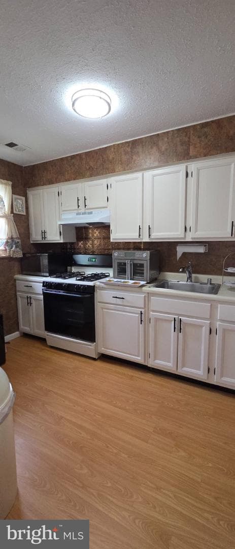 506 Pickwick Village Way photo 17