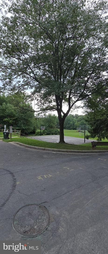 506 Pickwick Village Way photo 42