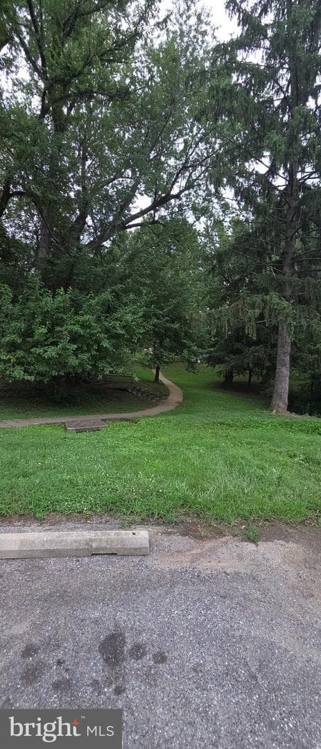 506 Pickwick Village Way photo 46