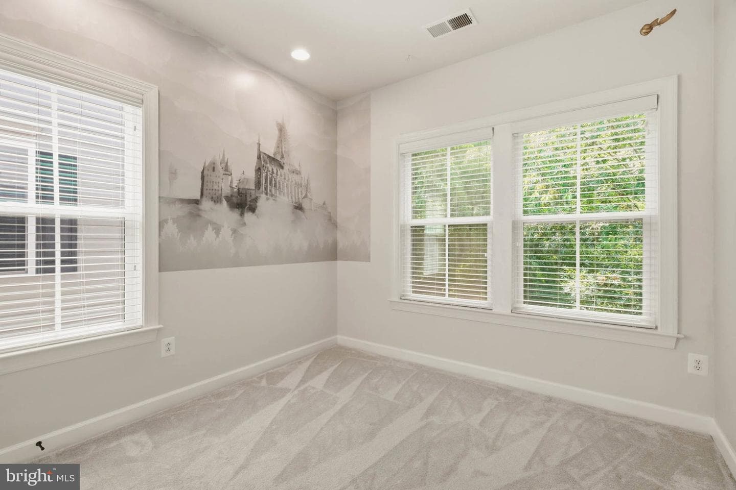 430 Lady Fern Place photo 34