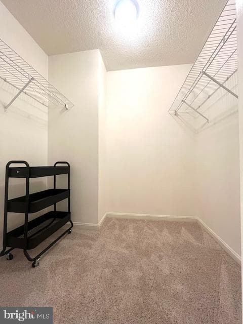 14805 Pennfield Circle #307 photo 24
