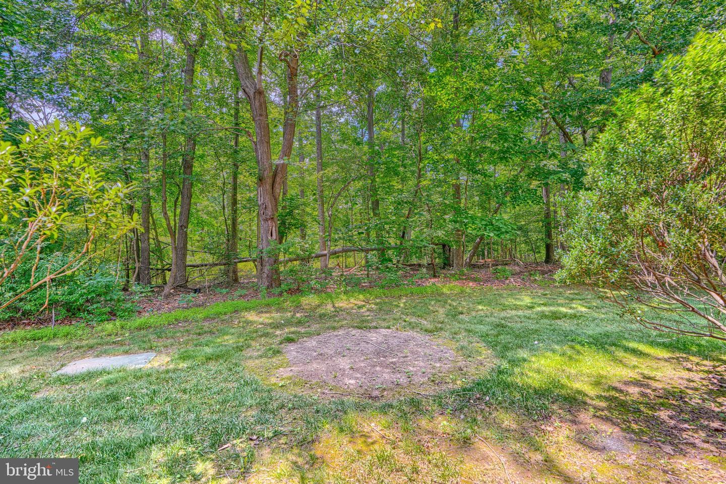 13006 Woodcutter Circle #157 photo 33